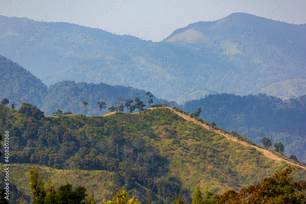 Natural forest, rich in the Mae Wong mountain range, Thailand.