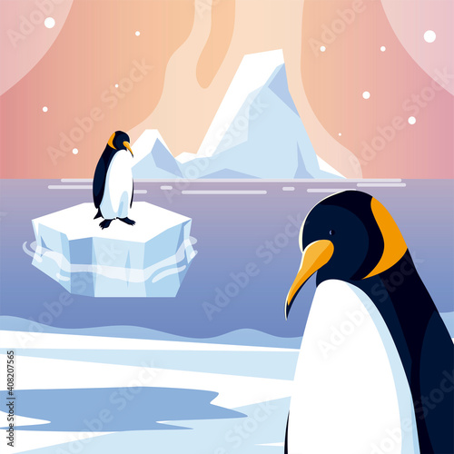 penguins animals iceberg north pole sea design