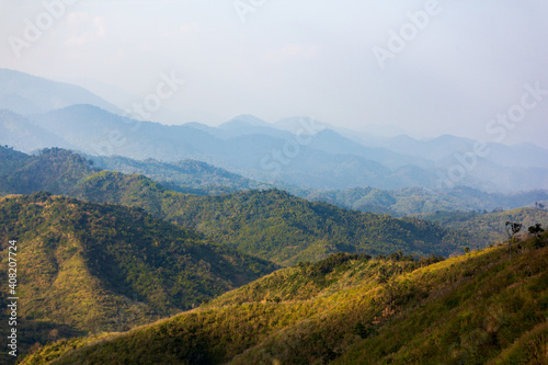 Natural forest, rich in the Mae Wong mountain range, Thailand.