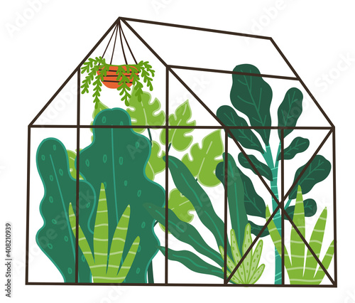 Orangery with green plants and botany leafage