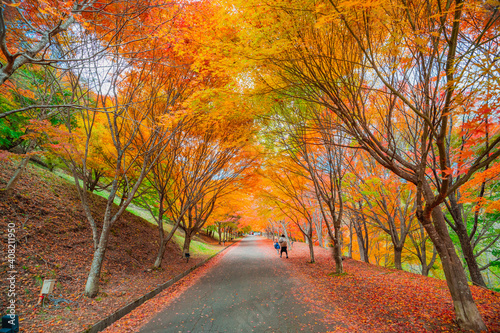 長野県箕輪町もみじ湖の紅葉　紅葉湖　箕輪ダム photo