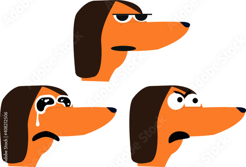 Expresiones de perro