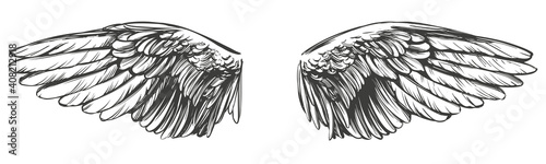 Angel wings, bird wings collection cartoon hand drawn vector illustration sketch