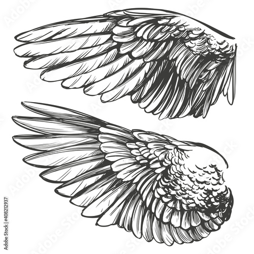 Angel wings, bird wings collection cartoon hand drawn vector illustration sketch