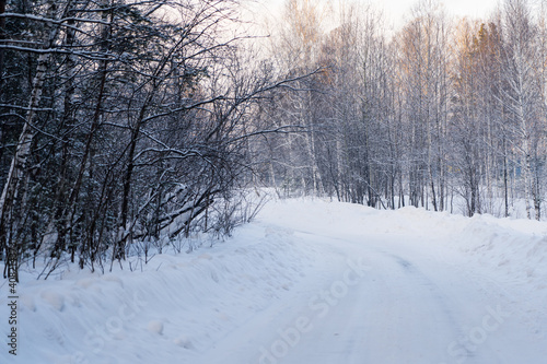 winter countryside road through snow covered trees © MasterSergeant