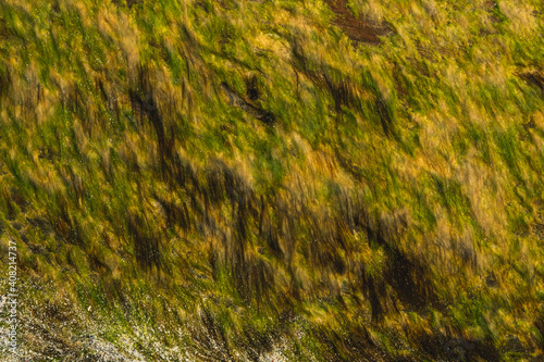 Weat wood texture photo