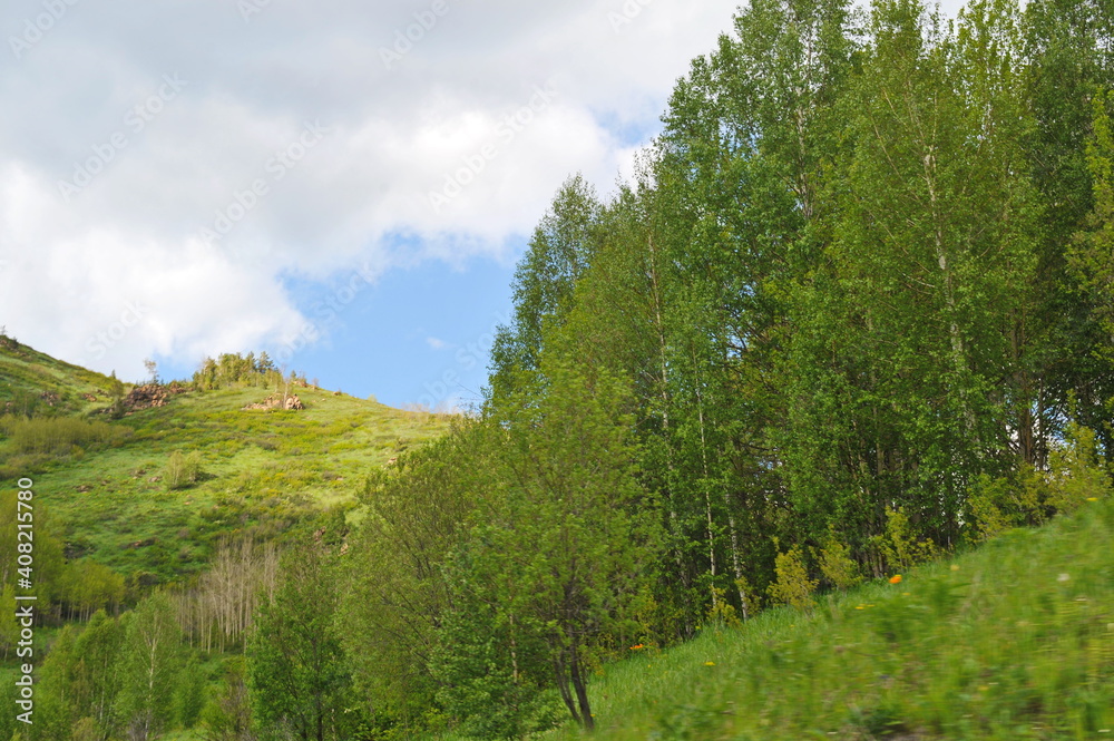 Ridder, Kazakhstan - 06.05.2013 : Trees, shrubs and various grasses grow on the hills in the mountainous area Ridder, Kazakhstan - 06.05.2013 : Trees, shrubs and various grasses grow on the hills in the mountainous area