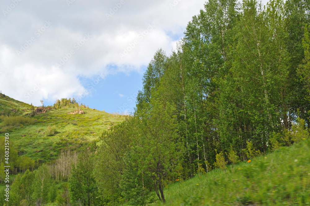 Ridder, Kazakhstan - 06.05.2013 : Trees, shrubs and various grasses grow on the hills in the mountainous area