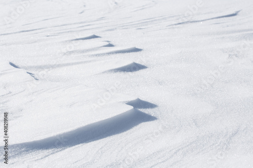 Natural snowy background. Natural snowy surface.