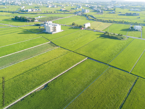 Aerial view of the beautiful rice field around Yuanli