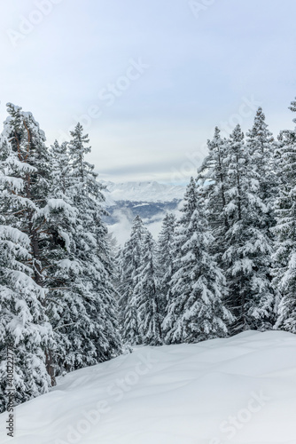 Ski touring in the mountains and forest above Alvaneu in the Swiss Alps