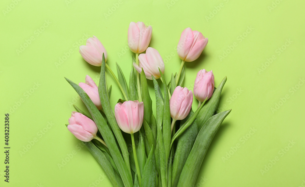 Beautiful tulip flowers on color background Beautiful tulip flowers on color background