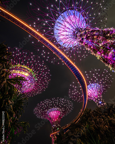 Night Super Tree Gardens by the Bay Singapore