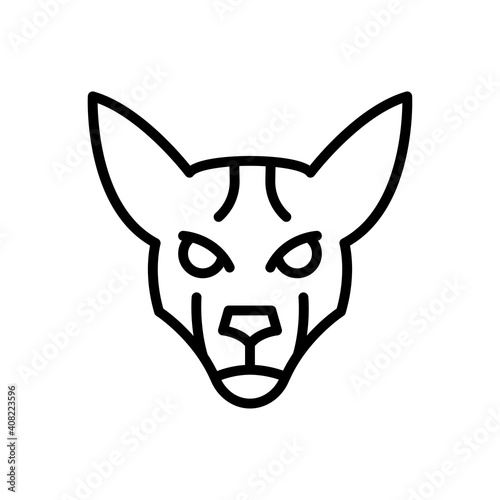 animal