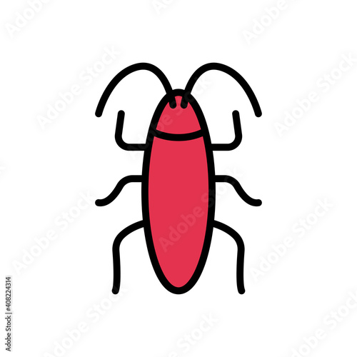cockroach