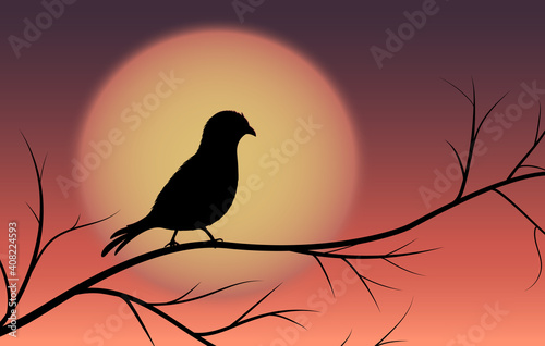 Bird silhouette on tree