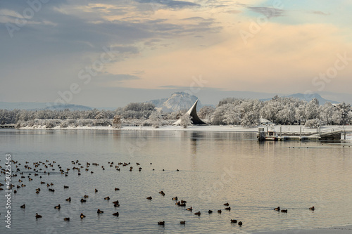 Der Bodensee im Winter bei Radolfzell, am Horizont der Hohentwiel photo