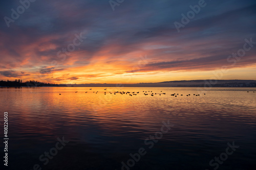 Fototapeta Naklejka Na Ścianę i Meble -  Sonnenaufgang über dem Bodensee