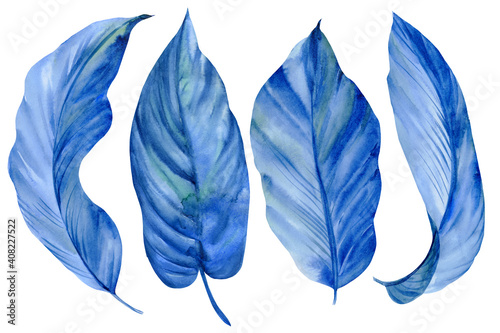 Set of blue leaves on white background, watercolor illustration, tropical palm leaves, abstract painting