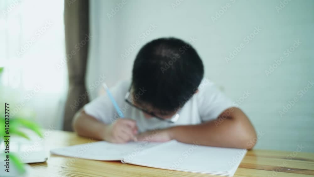 Asian boy student online learning class study online with laptop at home.