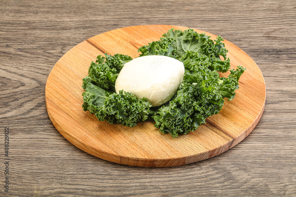 Soft mozzarella cheese over board Soft mozzarella cheese over board