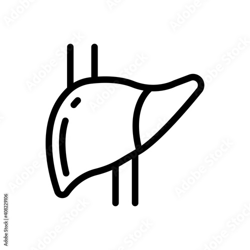 liver
