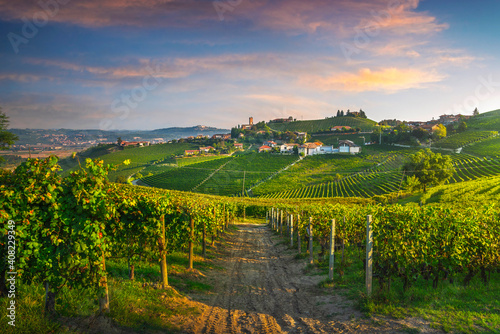 Barbaresco village and Langhe vineyards  Piedmont  Italy Europe.