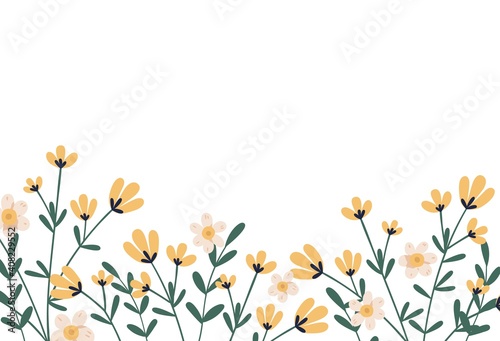 Horizontal botanical backdrop with border of delicate blooming yellow flowers. Floral flat vector illustration isolated on white background