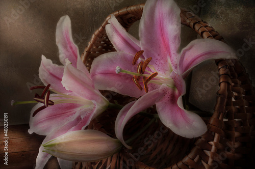 Still Life Photography, White Purple Lillly In The Basket, Beautiful Lillium