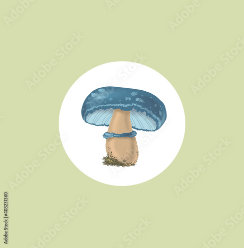 blue mushroom in a white circle on a gentle green background