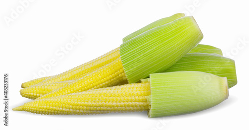 Baby corn isolated on  white background.