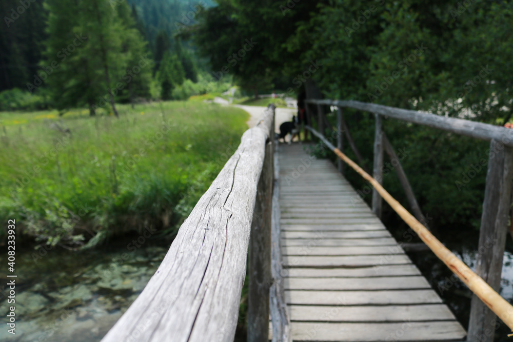 Ponte sul sentiero del lago Nambino in Trentino, viaggi e paesaggi in Italia
