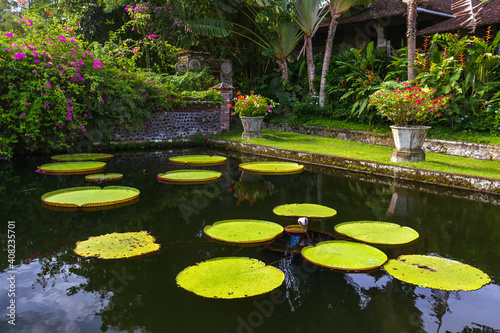 Flowers in water palace Tirta Ganga - Bali Island Indonesia © Nikolai Sorokin