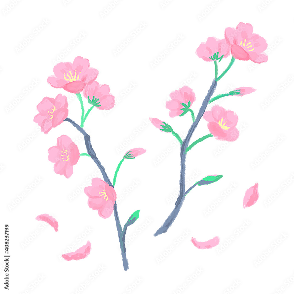 桜の花のカットイラスト