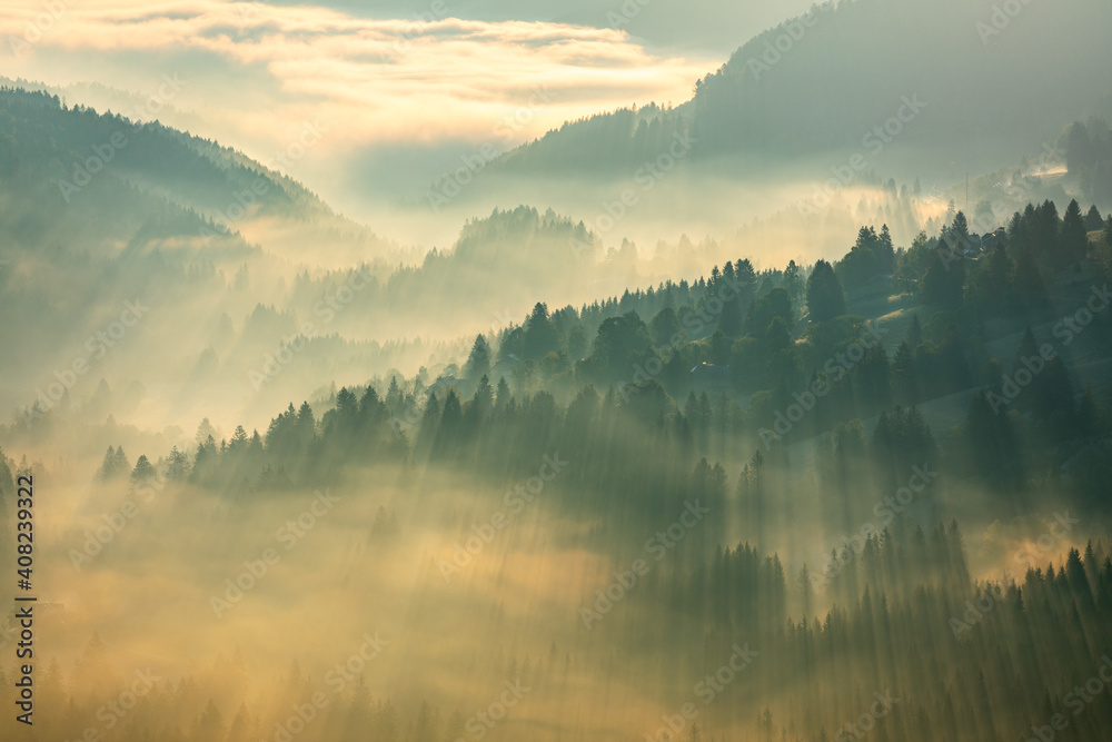 Schwarzwald Schwarzwald