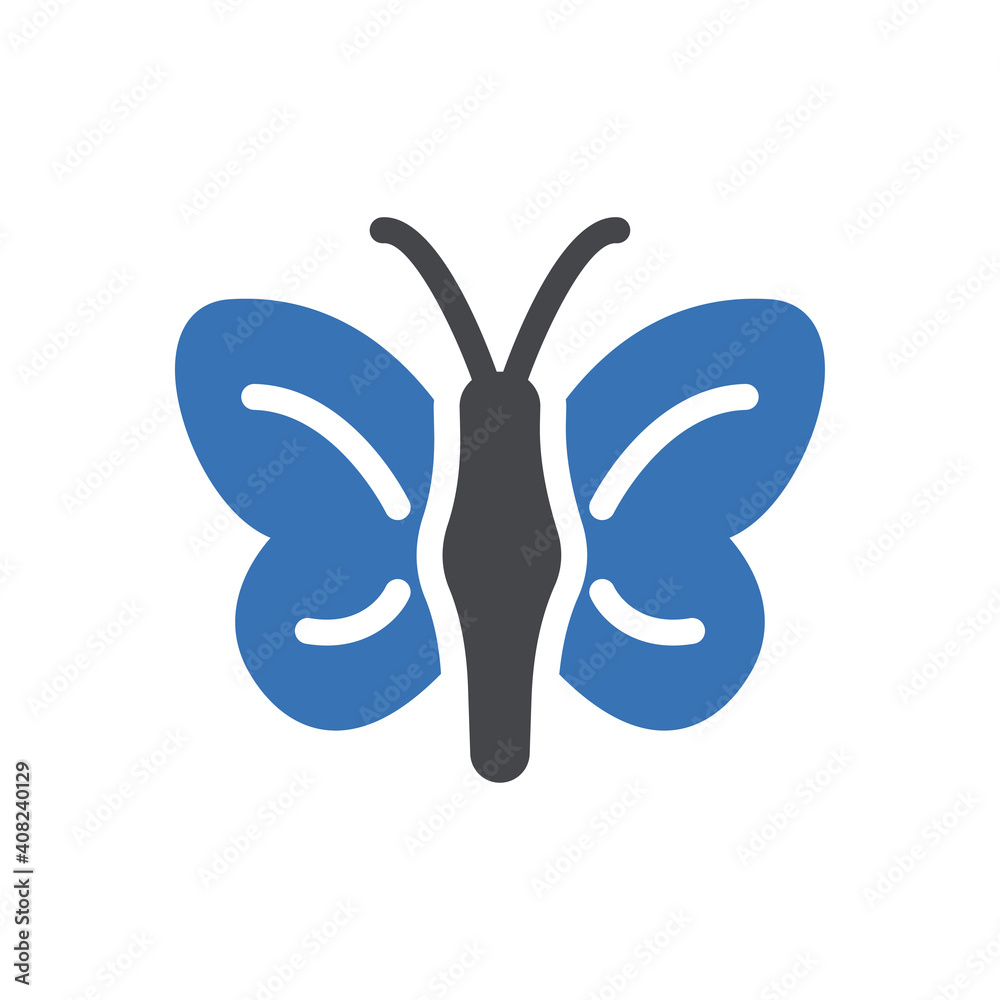 butterfly butterfly