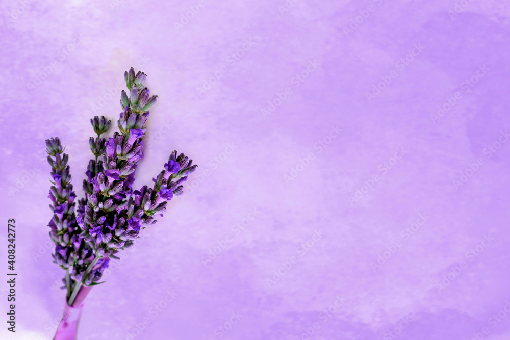 custom made wallpaper toronto digitalLavender flowers on watercolor textured background, bouquet of scented summer lowers with copy space