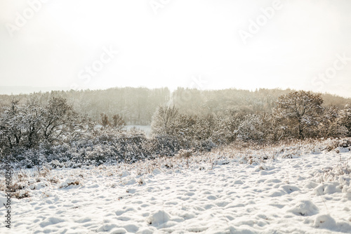 Beautiful winter sunny landscape with snowy hills, winter nature in the village, field and trees in the snow
