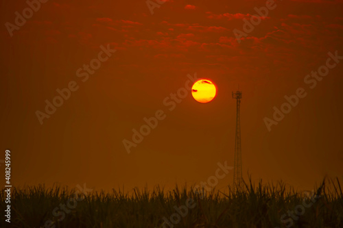 Evening sun near the transmission tower in the middle of the rice fields  Thailand. soft focus.