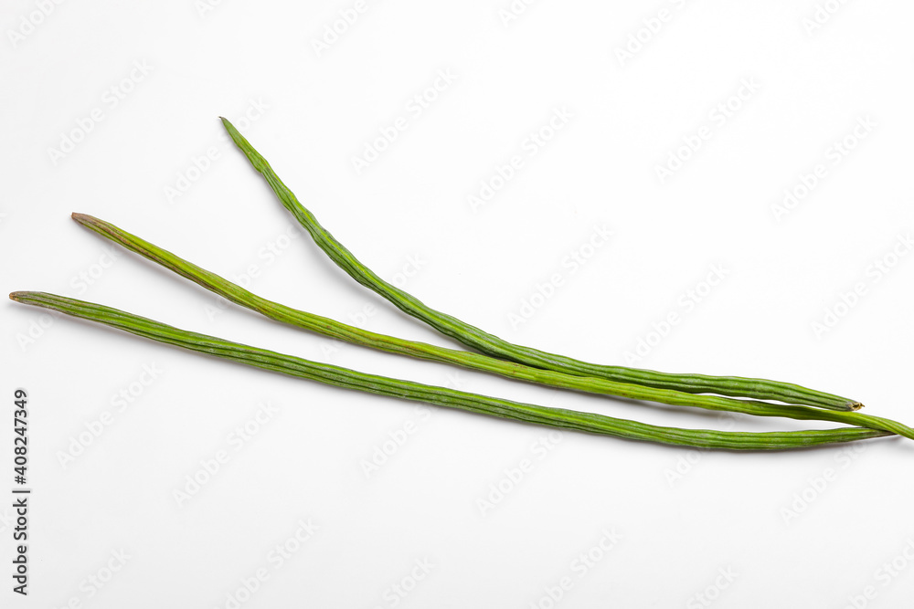 Bunch of Moringa Oleifera or sonjna over white background Bunch of Moringa Oleifera or sonjna over white background
