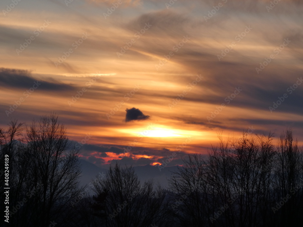 Naklejka premium Beautiful sunset over the trees.