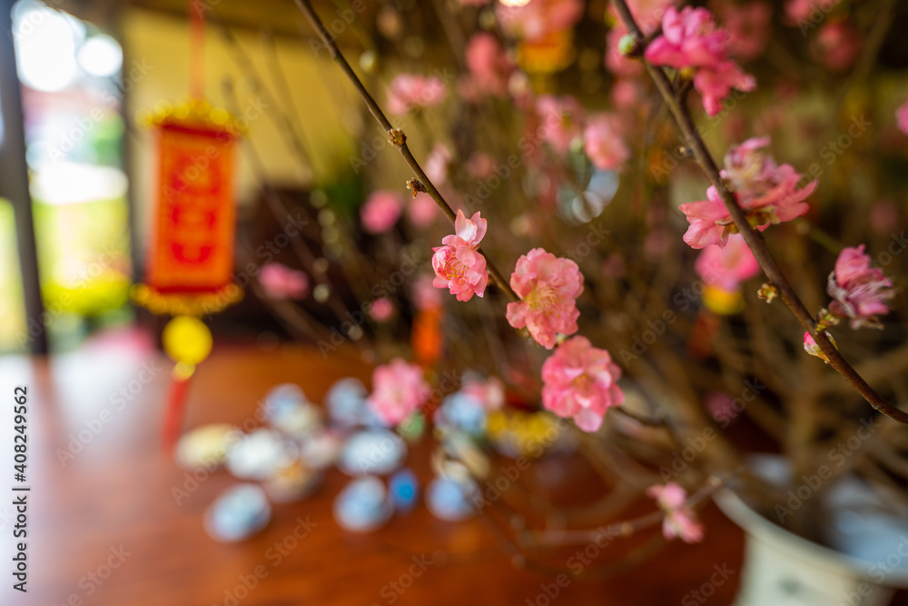 View of peach branches and cherry blossoms with Vietnamese food for Tet holiday in blurred background.
