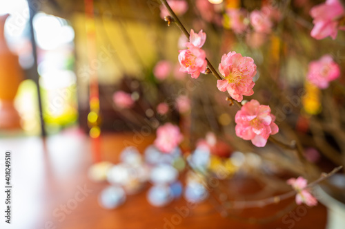 View of peach branches and cherry blossoms with Vietnamese food for Tet holiday in blurred background. photo