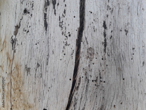 old wood texture 04