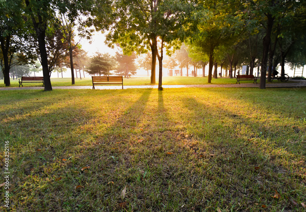 In the early morning, the sun shines on city parks, trees and seats for people to rest. Pure natural scenery.
