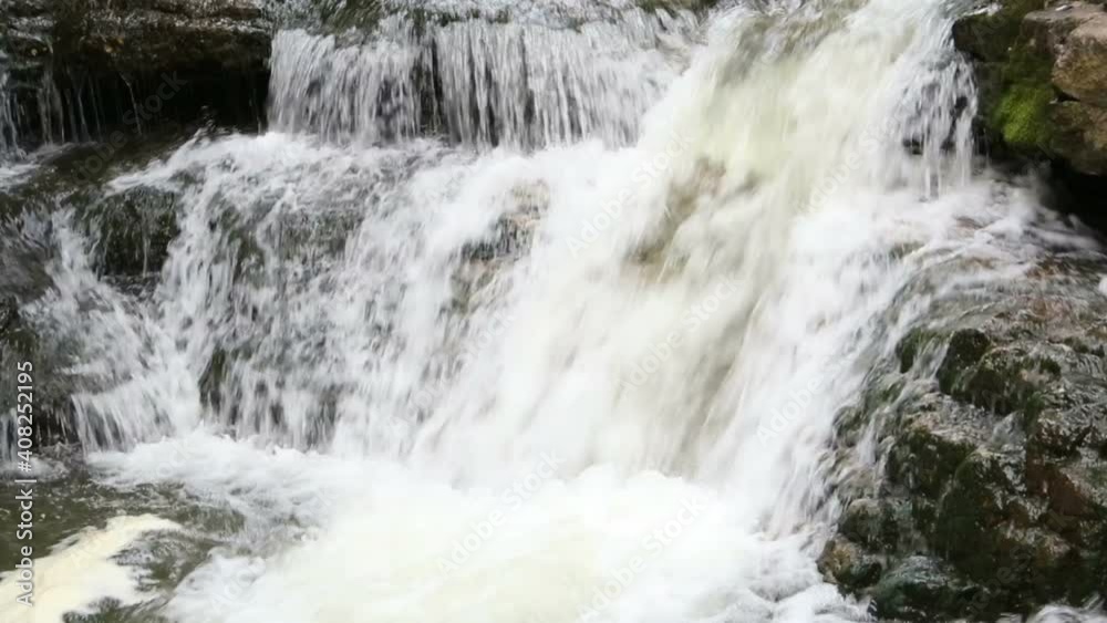 Forest river with beautiful waterfalls. Summer in the forest. Trees over the river. Waterfall cascade The beauty of the wild
