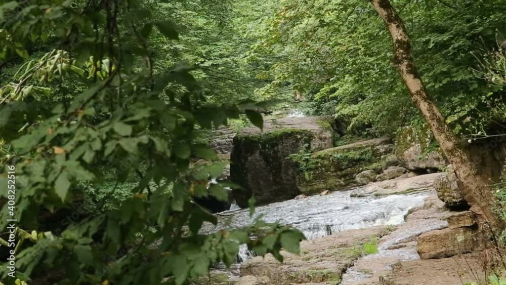 Forest river with beautiful waterfalls. Summer in the forest. Trees over the river. Waterfall cascade The beauty of the wild Forest river with beautiful waterfalls. Summer in the forest. Trees over the river. Waterfall cascade The beauty of the wild