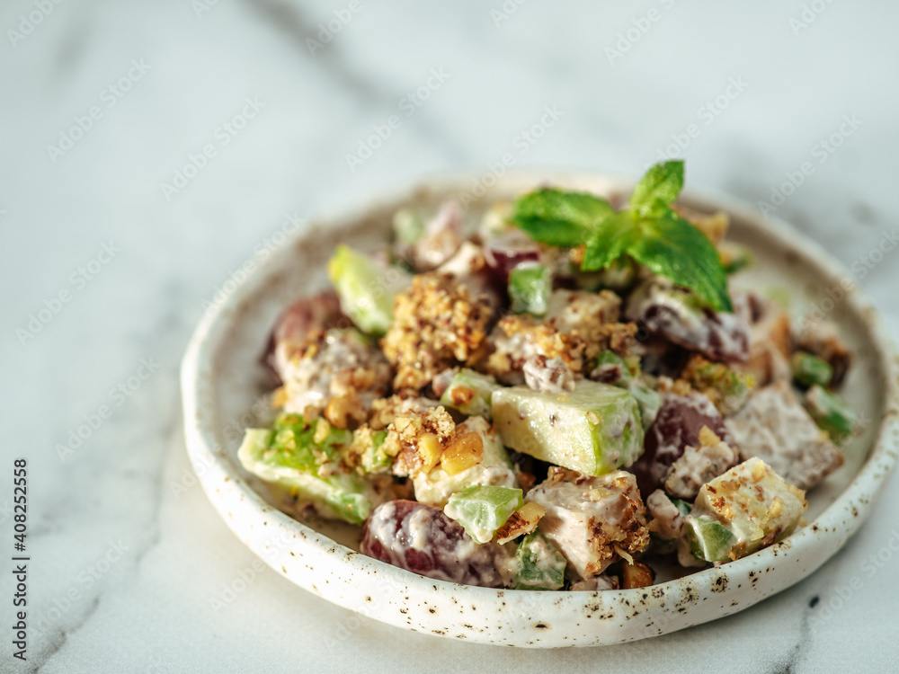 Waldorf salad with copy space. American fruit and nut salad with apples, celery, grapes, chicken meat, dressed mayonnaise. Craft plate with ready-to-eat waldorf salad on white marble background Waldorf salad with copy space. American fruit and nut salad with apples, celery, grapes, chicken meat, dressed mayonnaise. Craft plate with ready-to-eat waldorf salad on white marble background