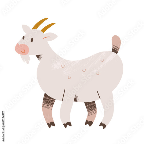 Cute white goat illustration, farm animal drawing, vector clipart isolated