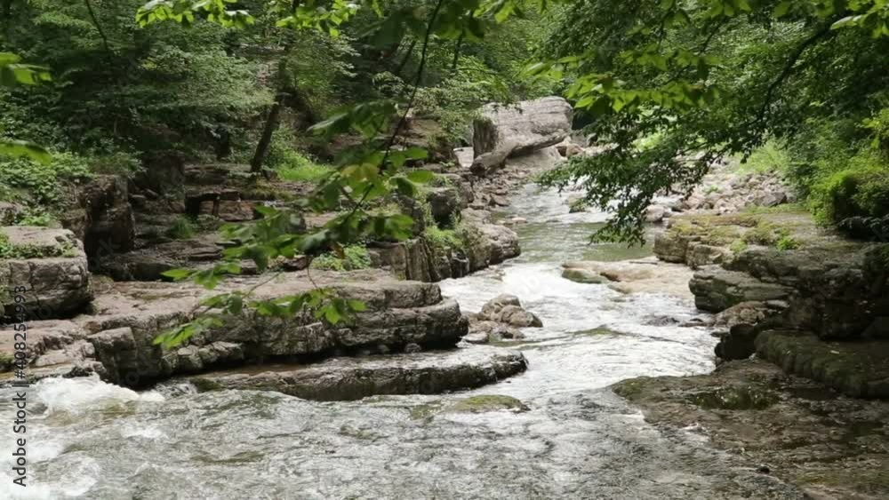 Forest river with beautiful waterfalls. Summer in the forest. Trees over the river. Waterfall cascade The beauty of the wild Forest river with beautiful waterfalls. Summer in the forest. Trees over the river. Waterfall cascade The beauty of the wild